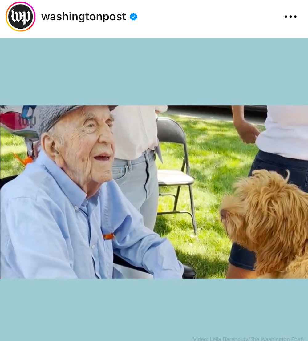 Dogs and 100-year-old man