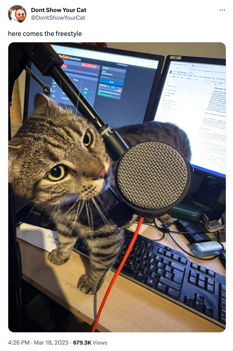Cat leaning in to microphone