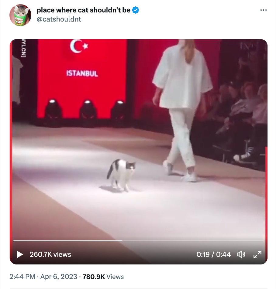 cat walk