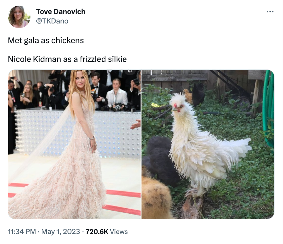 Fancy chickens