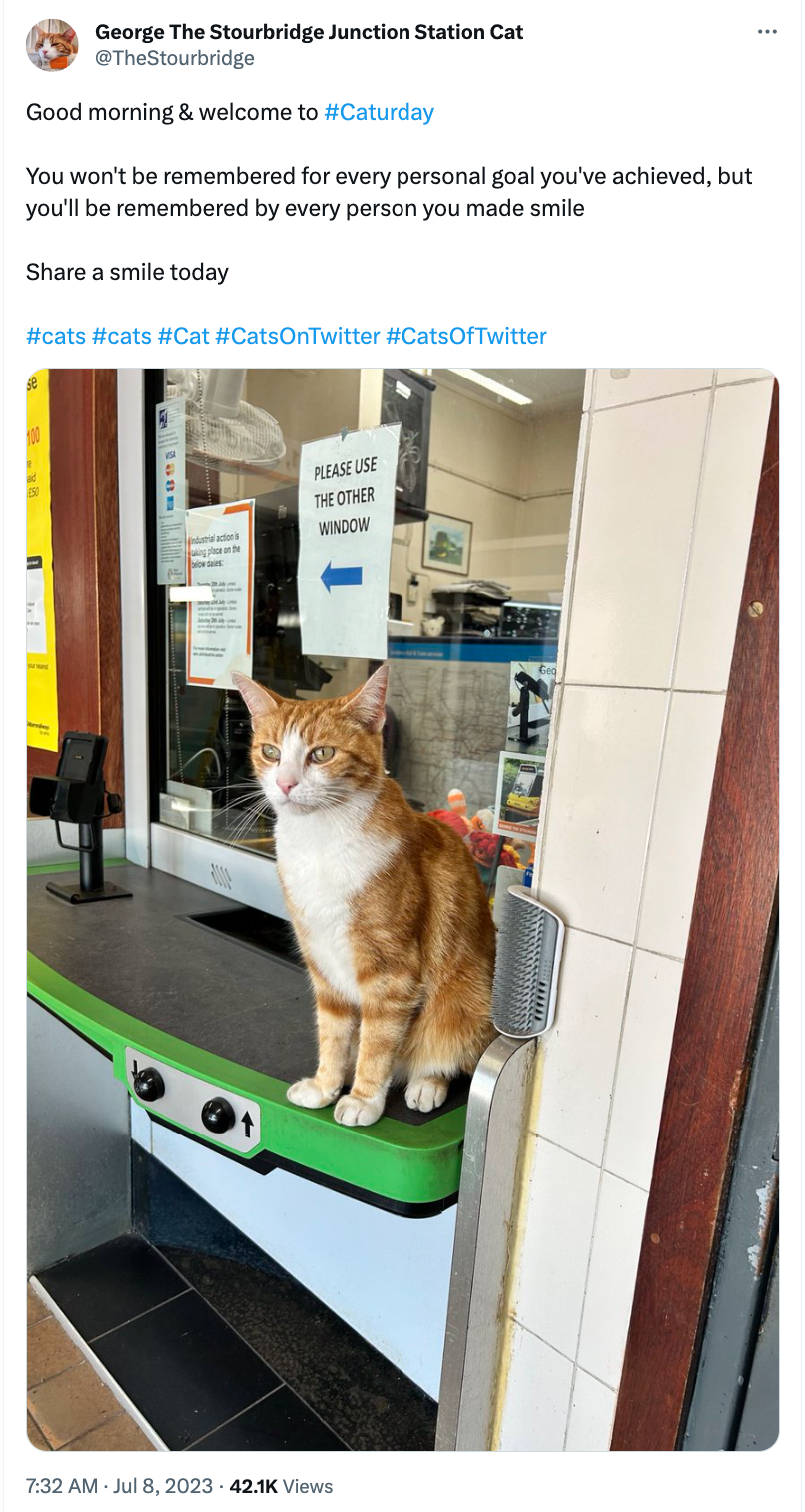 George the Stourbridge Junction Station cat