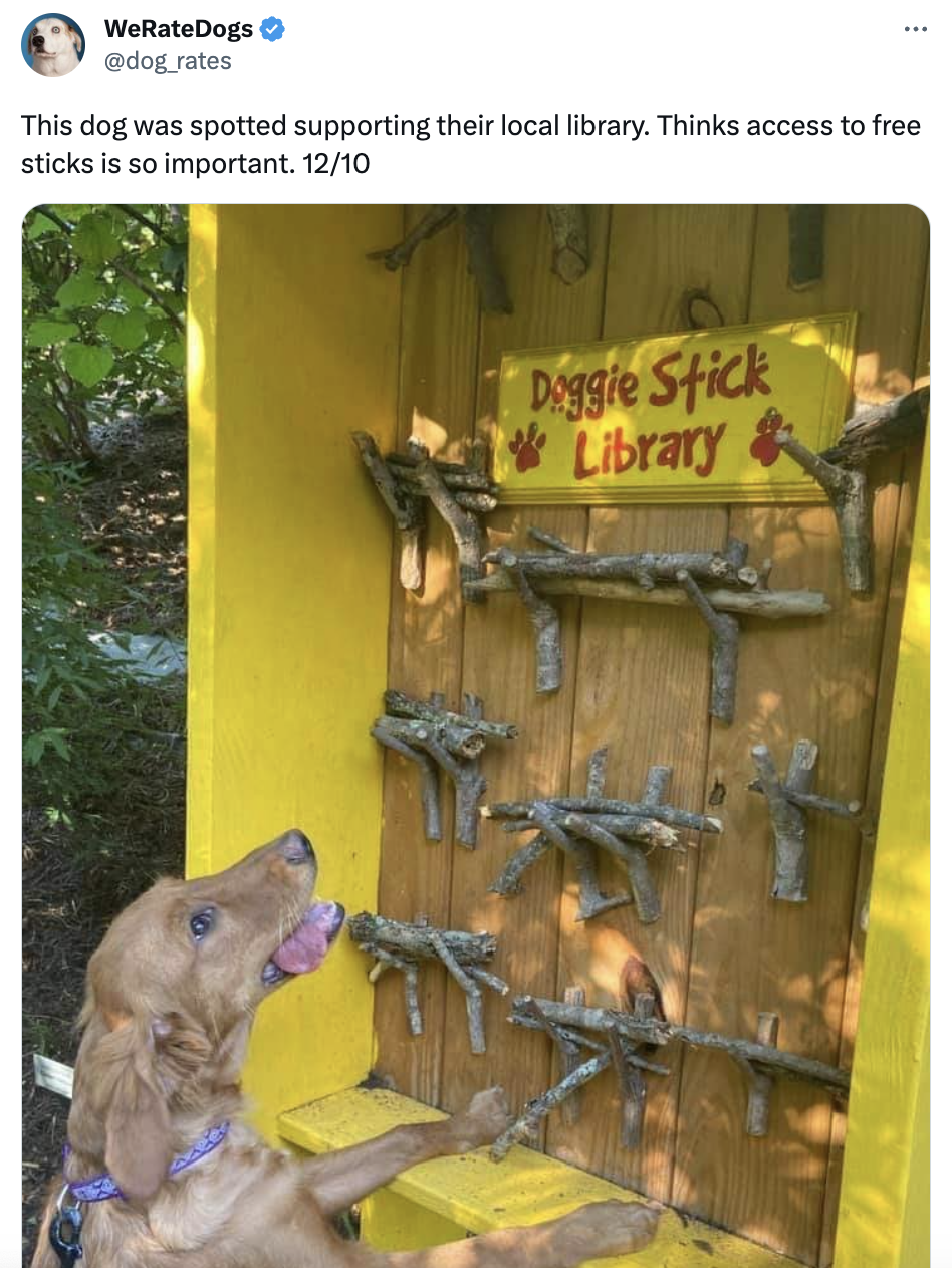 We Rate Dogs tweet of dog at 'doggie stick library'