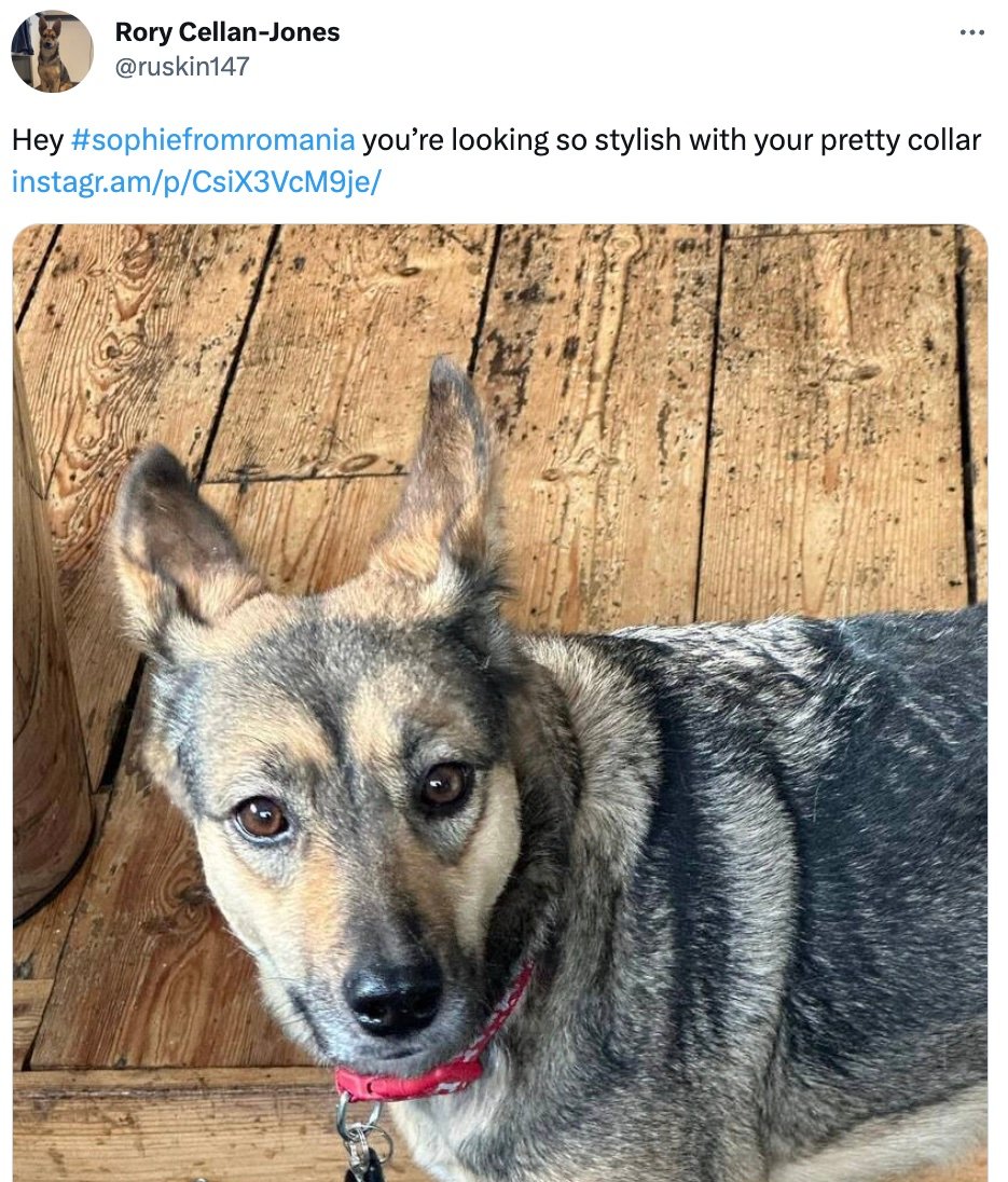 Sophie from Romania Tweet